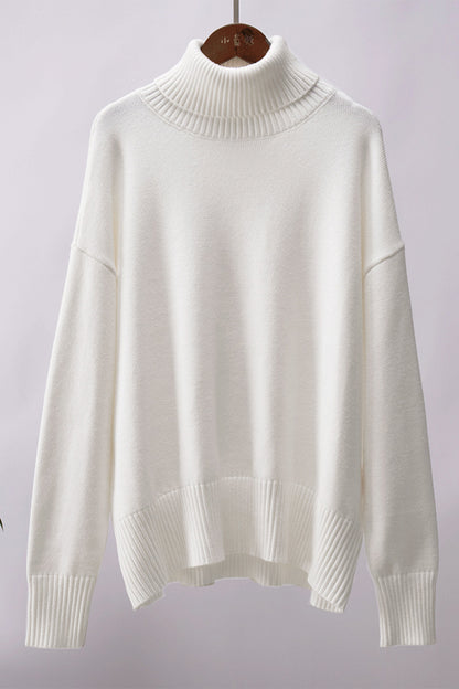 Basic Turtle Neck Sweater