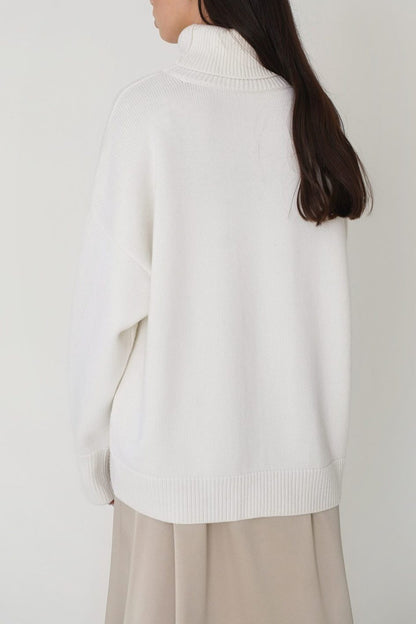 Basic Turtle Neck Sweater