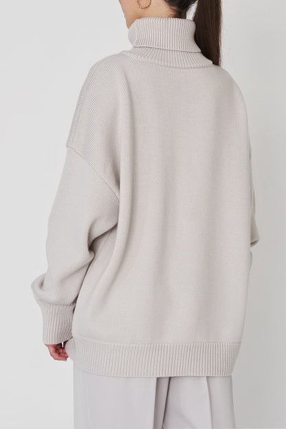 Basic Turtle Neck Sweater